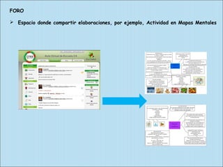FORO 
 Espacio donde compartir elaboraciones, por ejemplo, Actividad en Mapas Mentales 
 