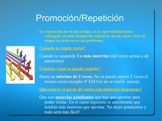 Organiza actividades y festejos de centro (día de la paz, carnavales...)  