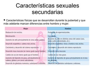 Características sexuales secundarias Características físicas que se desarrollan durante la pubertad y que más adelante marcan diferencias entre hombre y mujer.  
