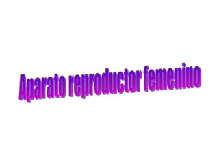 Aparato reproductor femenino 