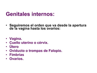 Genitales internos: Seguiremos el orden que va desde la apertura de la vagina hasta los ovarios: Vagina. Cuello uterino o cérvix. Útero Oviducto o trompas de Falopio. Fimbrias Ovarios. 