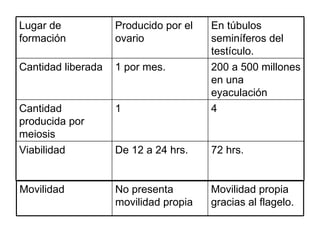 72 hrs. De 12 a 24 hrs. Viabilidad 4 1 Cantidad producida por meiosis 200 a 500 millones en una eyaculación 1 por mes. Cantidad liberada En túbulos seminíferos del testículo. Producido por el ovario Lugar de formación Movilidad propia gracias al flagelo. No presenta movilidad propia Movilidad 