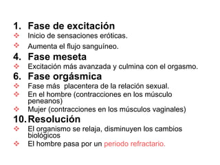 Fase de excitación Inicio de sensaciones eróticas. Aumenta el flujo sanguíneo.   Fase meseta Excitación más avanzada y culmina con el orgasmo. Fase orgásmica Fase más  placentera de la relación sexual. En el hombre (contracciones en los músculo peneanos) Mujer (contracciones en los músculos vaginales) Resolución El organismo se relaja, disminuyen los cambios biológicos El hombre pasa por un  periodo refractario. 