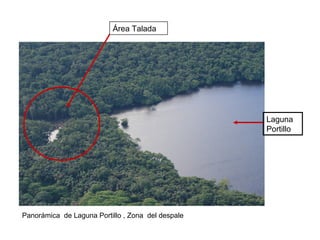 Área Talada
Laguna
Portillo
Panorámica de Laguna Portillo , Zona del despale
 