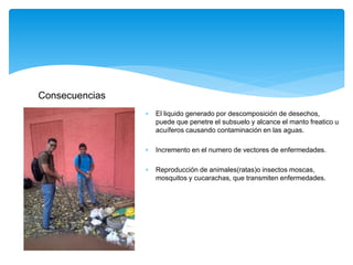  El liquido generado por descomposición de desechos,
puede que penetre el subsuelo y alcance el manto freatico u
acuíferos causando contaminación en las aguas.
 Incremento en el numero de vectores de enfermedades.
 Reproducción de animales(ratas)o insectos moscas,
mosquitos y cucarachas, que transmiten enfermedades.
Consecuencias
 