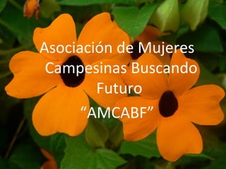 Asociación de Mujeres
 Campesinas Buscando
        Futuro
      “AMCABF”
 