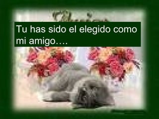 Tu has sido el elegido como mi amigo…. 