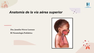 Dra. Jennifer Wever Lorenzo
RI Neumología Pediátrica
Anatomía de la vía aérea superior
 