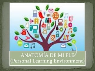ANATOMÍA DE MI PLE 
(Personal Learning Environment) 
 