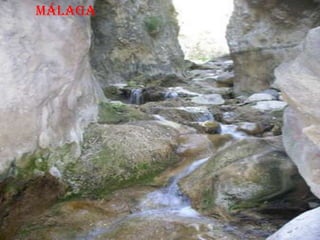 Málaga
 