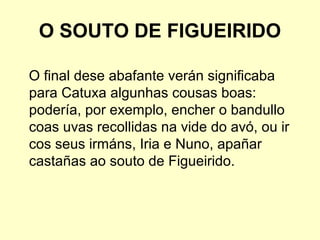 O SOUTO DE FIGUEIRIDO
O final dese abafante verán significaba
para Catuxa algunhas cousas boas:
podería, por exemplo, encher o bandullo
coas uvas recollidas na vide do avó, ou ir
cos seus irmáns, Iria e Nuno, apañar
castañas ao souto de Figueirido.
 