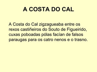 A COSTA DO CAL
A Costa do Cal zigzagueaba entre os
rexos castiñeiros do Souto de Figueirido,
cuxas poboadas pólas facían de falsos
paraugas para os catro nenos e o trasno.
 