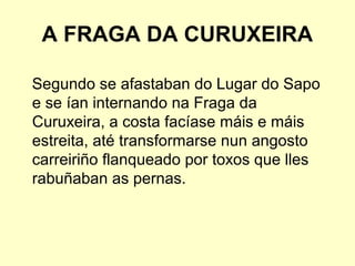 A FRAGA DA CURUXEIRA
Segundo se afastaban do Lugar do Sapo
e se ían internando na Fraga da
Curuxeira, a costa facíase máis e máis
estreita, até transformarse nun angosto
carreiriño flanqueado por toxos que lles
rabuñaban as pernas.
 
