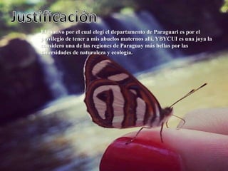 El motivo por el cual elegí el departamento de Paraguari es por el
privilegio de tener a mis abuelos maternos allí, YBYCUI es una joya la
considero una de las regiones de Paraguay más bellas por las
diversidades de naturaleza y ecología.
 