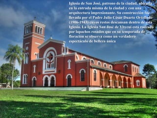 Iglesia de San José, patrono de la ciudad, ubicada
en la entrada misma de la ciudad y con una
arquitectura impresionante. Su construcción fue
llevada por el Padre Julio César Duarte Ortellado
(1906-1943) cuyos restos descansan dentro de esta
Iglesia. La Iglesia San José de Ybycuí está rodeada
por lapachos rosados que en su temporada de
floración se observa como un verdadero
espectáculo de belleza única
 