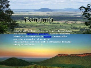 Entre las actividades económicas de los pobladores podemos
mencionar la agricultura, ganadería, explotación forestal e
hilanderías, desmontadoras de algodón e innumerables
comercios al menudeo y al por mayor
Existen además, fabricas de carbón, extracciones de miel de
abeja y de caña dulce.
 