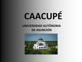 UNIVERSIDAD AUTÓNOMA
DE ASUNCIÓN
CAACUPÉ
 
