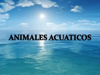 ANIMALES ACUATICOS 