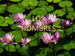 LOS
HOMBRES
 