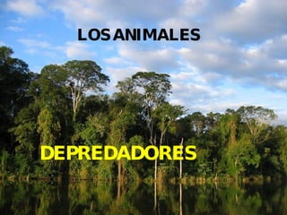 LOS ANIMALES DEPREDADORES 