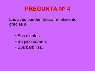 PREGUNTA Nº 4 Las aves pueden triturar el alimento gracias a: Sus dientes. Su pico córneo. Sus barbillas. 