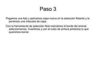 Paso 3 Pegamos una foto y aplicamos capa nueva en la selección flotante y le ponemos una máscara de capa.
