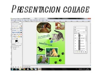 Presentacion collage 
