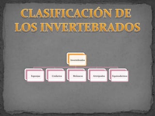 Invertebrados
Esponjas Cnidarios Moluscos Artrópodos Equinodermos
 