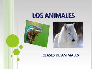 LOS ANIMALESLOS ANIMALES
CLASES DE ANIMALES
 