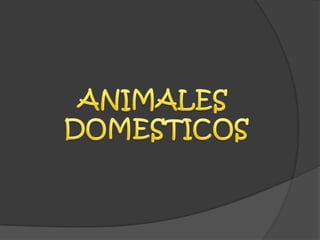 ANIMALES  DOMESTICOS 