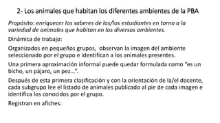 2- Los animales que habitan los diferentes ambientes de la PBA
Propósito: enriquecer los saberes de las/los estudiantes en torno a la
variedad de animales que habitan en los diversos ambientes.
Dinámica de trabajo:
Organizados en pequeños grupos, observan la imagen del ambiente
seleccionado por el grupo e identifican a los animales presentes.
Una primera aproximación informal puede quedar formulada como “es un
bicho, un pájaro, un pez...”.
Después de esta primera clasificación y con la orientación de la/el docente,
cada subgrupo lee el listado de animales publicado al pie de cada imagen e
identifica los conocidos por el grupo.
Registran en afiches:
 