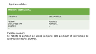 AMBIENTE: COSTA MARINA
CONOCIDOS DESCONOCIDOS
TIBURÓN
CABALLITO DE MAR
CANGREJO
….
PEZ GALLO
PEZ PIEDRA
…
Puesta en común:
Se habilita la partición del grupo completo para promover el intercambio de
saberes entre las/los alumnos.
Registran en afiches:
 