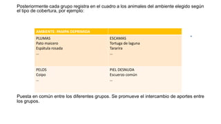 Posteriormente cada grupo registra en el cuadro a los animales del ambiente elegido según
el tipo de cobertura, por ejemplo:
Puesta en común entre los diferentes grupos. Se promueve el intercambio de aportes entre
los grupos.
AMBIENTE: PAMPA DEPRIMIDA
PLUMAS
Pato maicero
Espátula rosada
…
ESCAMAS
Tortuga de laguna
Tararira
…
PELOS
Coipo
…
PIEL DESNUDA
Escuerzo común
…
 