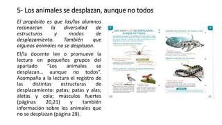 5- Los animales se desplazan, aunque no todos
El propósito es que las/los alumnos
reconozcan la diversidad de
estructuras y modos de
desplazamiento. También que
algunos animales no se desplazan.
El/la docente lee o promueve la
lectura en pequeños grupos del
apartado “Los animales se
desplazan… aunque no todos”.
Acompaña a la lectura el registro de
las distintas estructuras de
desplazamiento: patas; patas y alas;
aletas y cola; músculos fuertes
(páginas 20,21) y también
información sobre los animales que
no se desplazan (página 29).
 