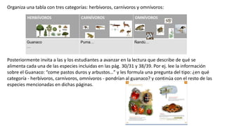 Organiza una tabla con tres categorías: herbívoros, carnívoros y omnívoros:
Posteriormente invita a las y los estudiantes a avanzar en la lectura que describe de qué se
alimenta cada una de las especies incluidas en las pág. 30/31 y 38/39. Por ej. lee la información
sobre el Guanaco: “come pastos duros y arbustos…” y les formula una pregunta del tipo: ¿en qué
categoría - herbívoros, carnívoros, omnívoros - pondrían al guanaco? y continúa con el resto de las
especies mencionadas en dichas páginas.
HERBIÍVOROS CARNÍVOROS OMNÍVOROS
Guanaco
…
Puma… Ñandú…
 