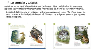 7- Los animales y sus crías
Propósito: reconocer la diversidad de modos de gestación y cuidado de crías de algunas
especies. Se avanza en el reconocimiento de diversidad de modos de cuidado de las crías.
• A partir de la lectura de las imágenes se formulan preguntas como: ¿De dónde nacen las
crías de estos animales? ¿Quién las cuida? Observan las imágenes y construyen algunas
ideas al respecto.
 
