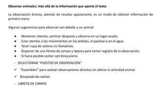 Observar animales: más allá de la información que aporta el texto
La observación directa, además de resultar apasionante, es un modo de obtener información de
primera mano.
Algunas sugerencias para observar con detalle a un animal:
● Mantener silencio, caminar despacio y ubicarse en un lugar oculto.
● Estar atentos a los movimientos en los árboles, el pastizal o en el agua.
● Tener ropa de colores no llamativos.
● Disponer de una libreta de campo y lápices para tomar registro de la observación.
● Si fuera posible contar con binoculares.
- SELECCIONAR “PUESTOS DE OBSERVACIÓN”
 “Escondites” para realizar observaciones directas sin alterar la actividad animal
 Búsqueda de rastros
- LIBRETA DE CAMPO
 
