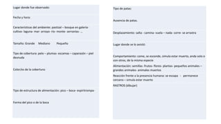 Lugar donde fue observado:
Fecha y hora:
Características del ambiente: pastizal – bosque en galería-
cultivo- laguna- mar- arroyo- río- monte- serranías- …
Tamaño: Grande Mediano Pequeño
Tipo de cobertura: pelo – plumas- escamas – caparazón – piel
desnuda
Color/es de la cobertura:
Tipo de estructura de alimentación: pico – boca- espiritrompa-
Forma del pico o de la boca
Tipo de patas:
Ausencia de patas.
Desplazamiento: salta - camina- vuela – nada- corre- se arrastra
Lugar donde se lo avistó:
Comportamiento: come, se esconde, simula estar muerto, anda solo o
con otros, de la misma especie
Alimentación: semillas -frutos- flores- plantas- pequeños animales –
grandes animales- animales muertos
Reacción frente a la presencia humana: se escapa - permanece
cercano – simula estar muerto
RASTROS (dibujar)
 
