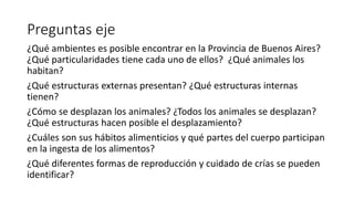 Preguntas eje
¿Qué ambientes es posible encontrar en la Provincia de Buenos Aires?
¿Qué particularidades tiene cada uno de ellos? ¿Qué animales los
habitan?
¿Qué estructuras externas presentan? ¿Qué estructuras internas
tienen?
¿Cómo se desplazan los animales? ¿Todos los animales se desplazan?
¿Qué estructuras hacen posible el desplazamiento?
¿Cuáles son sus hábitos alimenticios y qué partes del cuerpo participan
en la ingesta de los alimentos?
¿Qué diferentes formas de reproducción y cuidado de crías se pueden
identificar?
 