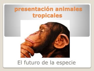 presentación animales
tropicales
El futuro de la especie
 