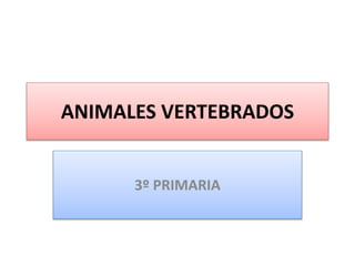 ANIMALES VERTEBRADOS
3º PRIMARIA
 