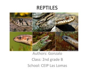 REPTILES
Authors: Gonzalo
Class: 2nd grade B
School: CEIP Las Lomas
 