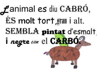 L’animal esdiuCabró,Ésmolttort,gran i alt.Semblapintatd’esmalt,inegrecomelcarbó.