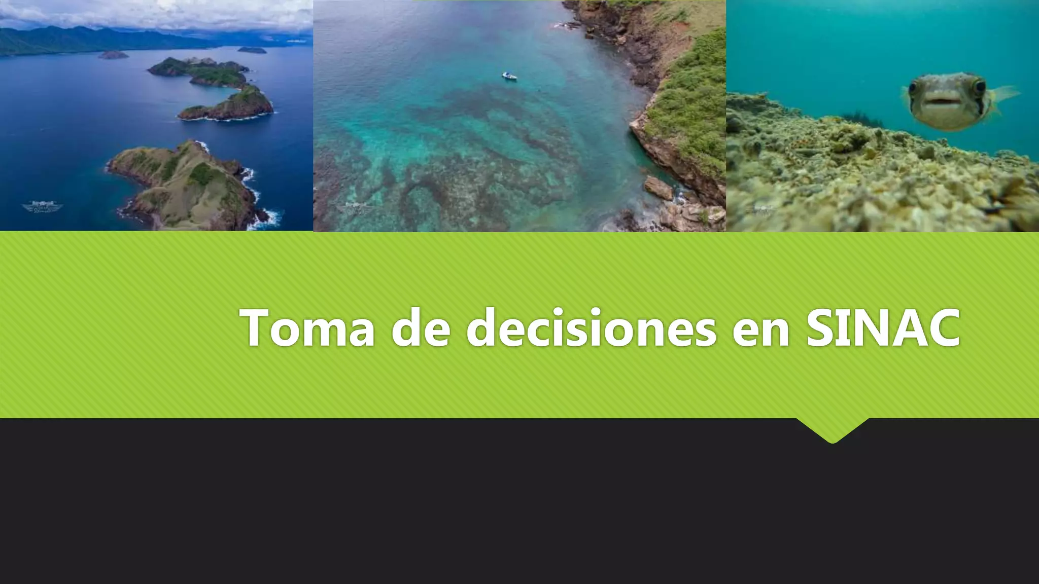 Toma de decisiones en SINAC
 