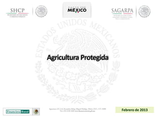 Agricultura Protegida




                        Febrero de 2013
 