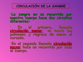 CIRCULACIÓN DE LA SANGRE
•La sangre en su recorrido porLa sangre en su recorrido por
nuestro cuerpo hace dos circuitosnuestro cuerpo hace dos circuitos
diferentes:diferentes:
• En el primero, llamadoEn el primero, llamado
circulación menorcirculación menor, va hasta los, va hasta los
pulmones y regresa de nuevo alpulmones y regresa de nuevo al
corazón.corazón.
•En el segundo llamadoEn el segundo llamado circulacióncirculación
mayormayor hace un recorrido por todohace un recorrido por todo
el cuerpo.el cuerpo.
 