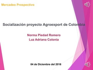 Mercadeo Prospectivo
Socialización proyecto Agroexport de Colombia
Norma Piedad Romero
Luz Adriana Colonia
04 de Diciembre del 2016
 