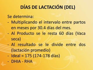 DÍAS DE LACTACIÓN (DEL)
Se determina:
- Multiplicando el intervalo entre partos
en meses por 30.4 días del mes.
- Al Producto se le resta 60 días (Vaca
seca)
- Al resultado se le divide entre dos
(lactación promedio)
- Ideal = 175 (174-178 días)
- DHIA - RHA
 
