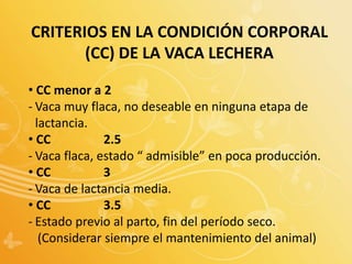 CRITERIOS EN LA CONDICIÓN CORPORAL
(CC) DE LA VACA LECHERA
• CC menor a 2
- Vaca muy flaca, no deseable en ninguna etapa de
lactancia.
• CC 2.5
- Vaca flaca, estado “ admisible” en poca producción.
• CC 3
- Vaca de lactancia media.
• CC 3.5
- Estado previo al parto, fin del período seco.
(Considerar siempre el mantenimiento del animal)
 