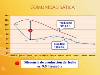 12.2
8.5
5.6
5.9
6.5
7.3 6.8
5.9
4.5
4.0 3.8
0.0
2.0
4.0
6.0
8.0
10.0
12.0
14.0
16.0
may-10 jun-10 jul-10 agt - 10 set - 10 oct-10 nov-10 dic-10 ene-11 feb-11 mar-11
Prod.Real
1365.0 lt.
Prod. ideal
3015.0 lt.
1
1 Diferencia de producción de leche
es 9.5 litros/día
COMUNIDAD SATICA
 